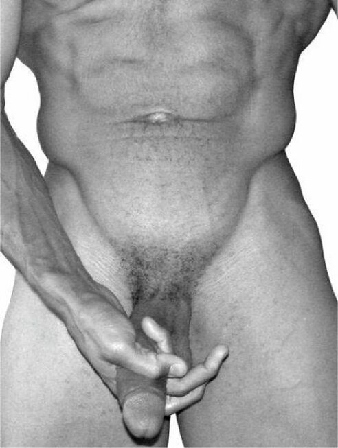 Milch den Penis, um ihn zu vergrößern